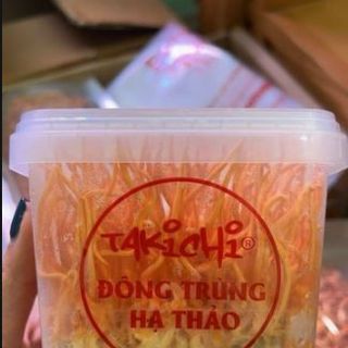 Đông trùng hạ thảo tươi giá sỉ