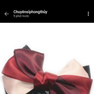 Kẹp tóc búi lưới nè