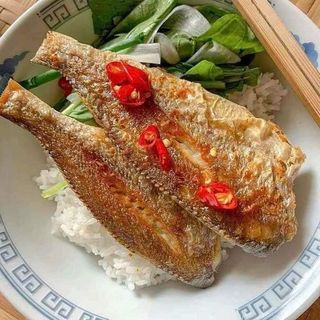 CÁ ĐÙ 1 NẮNG  SIZE LỚN