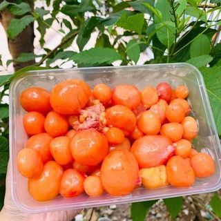 Trứng Gà Non Hộp 1 kg