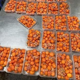 Trứng Gà Non Hộp 1 kg