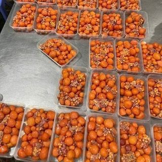 Trứng Gà Non Hộp 1 kg