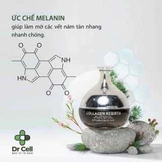 KEM DƯỠNG DA PHỤC HỒI TÁI TẠO BAN ĐÊM COLLAGEN REBIRTH DR CELL 30gr giá sỉ