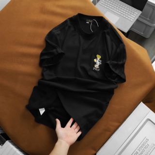 Áo thun cotton nam cổ tròn ngắn tay chất cao cấp
