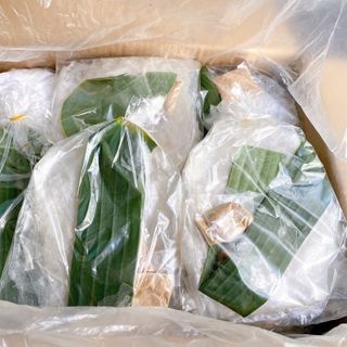 Bánh Tráng Phơi Sương Sate Muối Nhuyễn