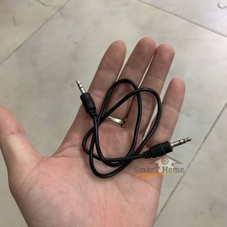 Dây Cắm Hai Đầu 3.5 Dài 0.5m
