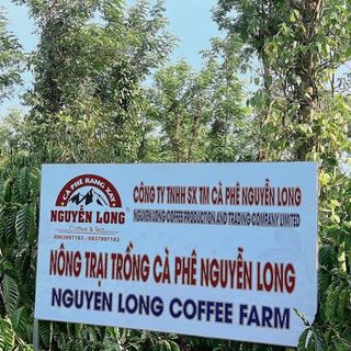 Cà Phê Nguyễn Long Túi Xanh ( Bột Pha Phin Truyền Thống )