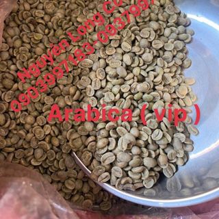 Cà Phê Nhân Xanh Arabica cầu đất S18 đã sàn hạt đẹp (  Nguyễn Long ) giá sỉ