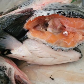 Đầu cá Hồi Nauy làm món gì ngon. Đầu hồi giá sỉ cho quán nướng, lẩu.