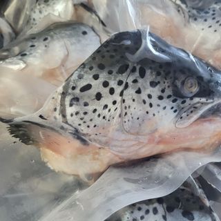 Đầu cá Hồi Nauy làm món gì ngon. Đầu hồi giá sỉ cho quán nướng, lẩu.