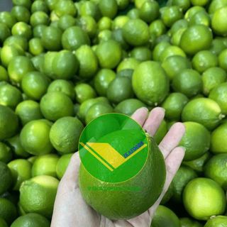 vikafoods chanh không hạt
