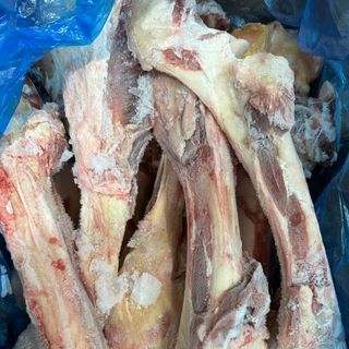 Xương ống bò - thịt bò đông lạnh nhập khẩu, giá sỉ, giá bán buôn