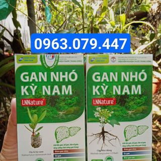 gan nhó kỳ nam giá sỉ