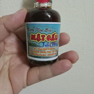 Rượu xoa bóp cây mật gấu trầm hương đan viện thiên an Huế