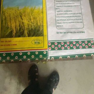 bao đựng lúa giống 40kg có lồng sẳn ni lông