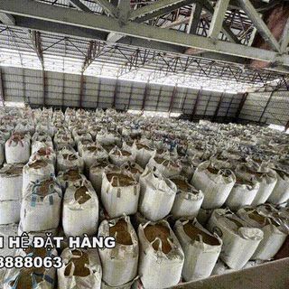 bao jumbo