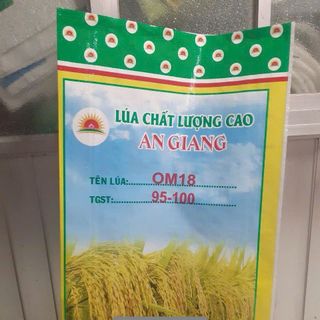 bao lúa giống 40kg lồng sẳn ni lông
