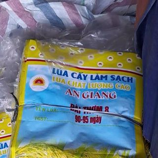 bao lúa giống 40kg lồng sẳn ni lông