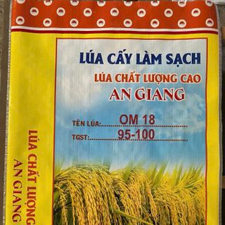 bao lúa giống in sẳn có lồng PE 40kg