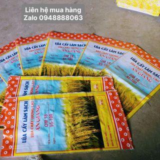 Bao lúa giống đẹp 40kg có PE An Giang