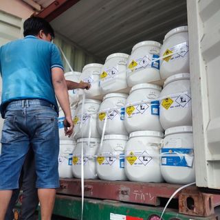 Clo Cá heo Trung Quốc
