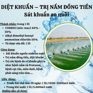 DIỆT KHUẨN – TRỊ NẤM ĐỒNG TIỀN giá sỉ