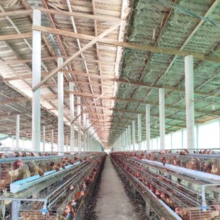 Tìm nhà phân phối , đại lý hợp tác lâu dài , giá cả chiết khấu ưu đãi !