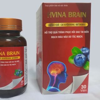 HVINA BRAIN – HỖ TRỢ HOẠT HUYẾT