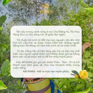 Trà Hoa Vàng Gia Lai Kinka - Trà Hộp Thượng Hạng, Thưởng Thức Vị Nguyên Xuân