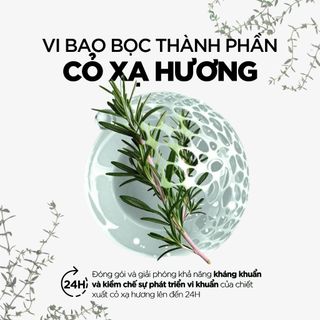 Dung Dịch Vệ Sinh 24H Sạch Khuẩn Dịu Viêm CAVAILLÈS Anti-Bacterien | Chống Viêm, Bảo Vệ Toàn Diện 250ml