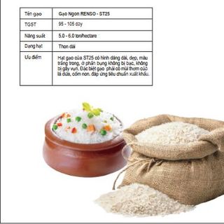 GẠO NGON "RENSO-ST25" - 2KG/BAO - 10 BAO/THÙNG