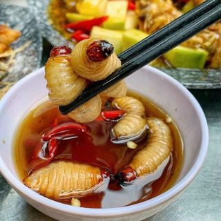 Đuông dừa sống