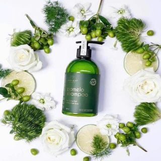 DẦU GỘI BƯỞI POMELO SHAMPOO 280 ml