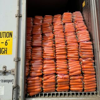 Carrot