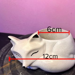 Chậu mini xi măng trồng sen đá, xương rồng hình cáo