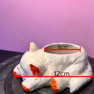 Chậu xi măng mini trồng sen đá hình mèo