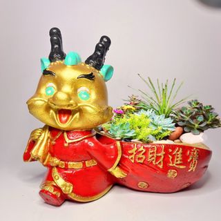 Chậu xi măng hình rồng, chậu cây decor