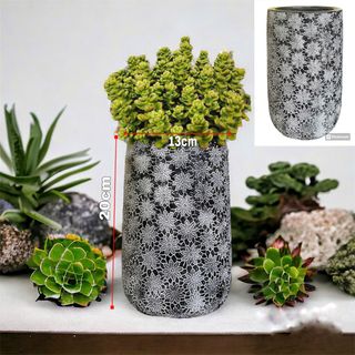 Chậu xi măng/ chậu đất nung hình họa tiết hoa cúc vintage
