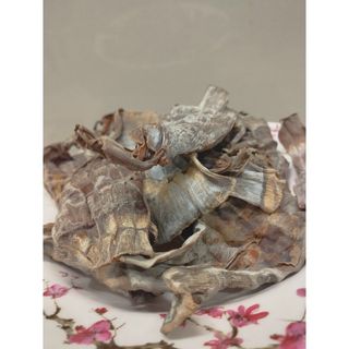 Măng Nứa Khô, Măng Khô Loại 1 Organic Siêu Ngon, Siêu Giòn