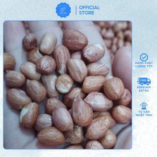 Đậu Phộng Trắng, Lạc Trắng ĐakLak Hạt To, Chắc Dùng Nấu Xôi, Rang Muối, Làm Muối Vừng