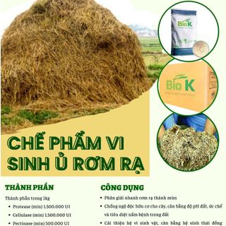 Chế phẩm vi sinh ủ rơm rạ Biok giá sỉ