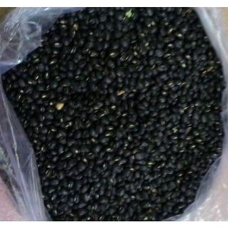 Đậu Đen Xanh Lòng Hữu Cơ Loại 1 Hạt To, Chắc, Mẩy Hỗ Trợ Điều Hòa Nội Tiết, Tăng Đề Kháng