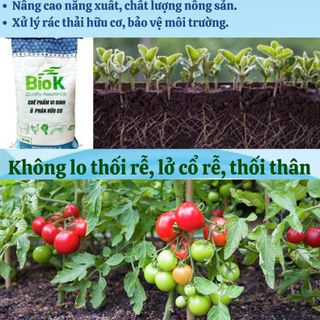 Chế phẩm vi sinh ủ phân hữu cơ Biok