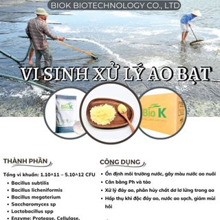 Vi sinh xử lý ao bạt BIOK ( dùng trong ngành thủy sản)