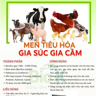 Men tiêu hóa gia súc gia cầm Biok ( dùng cho gia súc gia cầm )