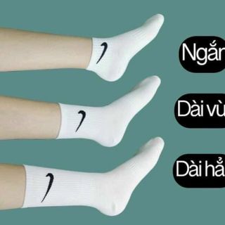 Bộ 10 đôi tất thể thao màu trắng thời trang phong cách Hàn Quốc - Cổ trung
