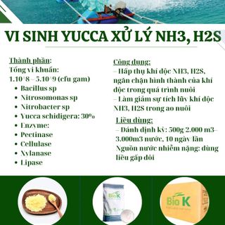 Vi sinh xử lý NO2 ( xử lý khí độc trong ao nuôi, dùng trong ngành thủy sản)