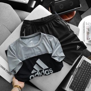 Set das thun poly 2 da trơn láng, co giãn 4c, 3 túi khoá kéo. Size : m l xl 2xl /2222/ 8set 4 màu / ri 32 set