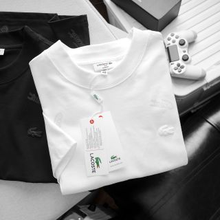 Áo thun nam. Chất 100% COTTON chính phẩm 2 chiều dày dặn mịn mát