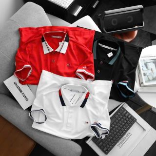 Polo vải cá sấu poly chính hãng cực đẹp. Thun poly 4c trơn láng, mát rượi, co giãn 4c thoải mái Size : m l xl 2xl /2222/8c 3 màu/ ri 24c